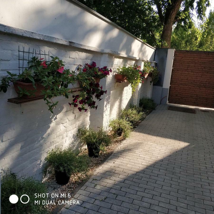 Belvarosi Apartmanszallo - Kiskunfélegyháza المظهر الخارجي الصورة