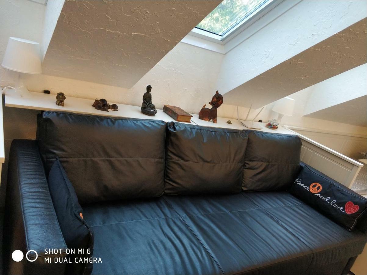 Belvarosi Apartmanszallo - Kiskunfélegyháza المظهر الخارجي الصورة